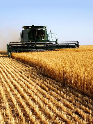 Navigates to Agriculture industry detail page.